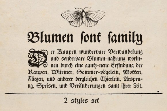 Blumen: A Bold Blackletter Font for Brand Identity